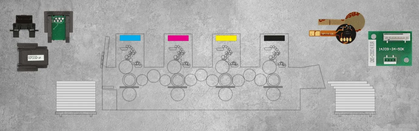 |default:Entwickler|default:.NAME